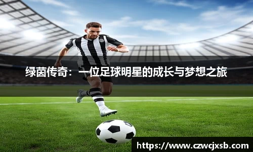 绿茵传奇：一位足球明星的成长与梦想之旅